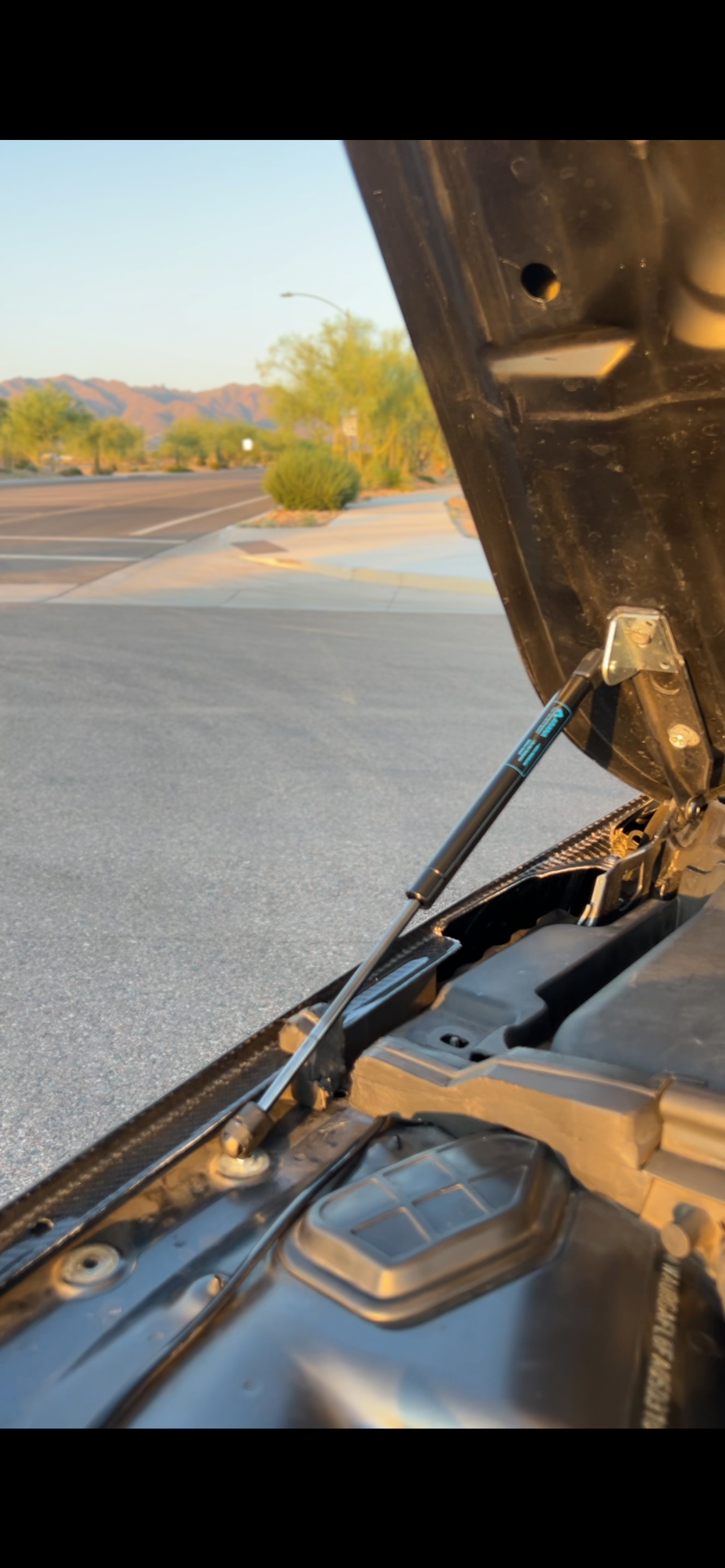 Dual Hood Strut Conversion Kit- (B8/B8.5 s4/s5)
