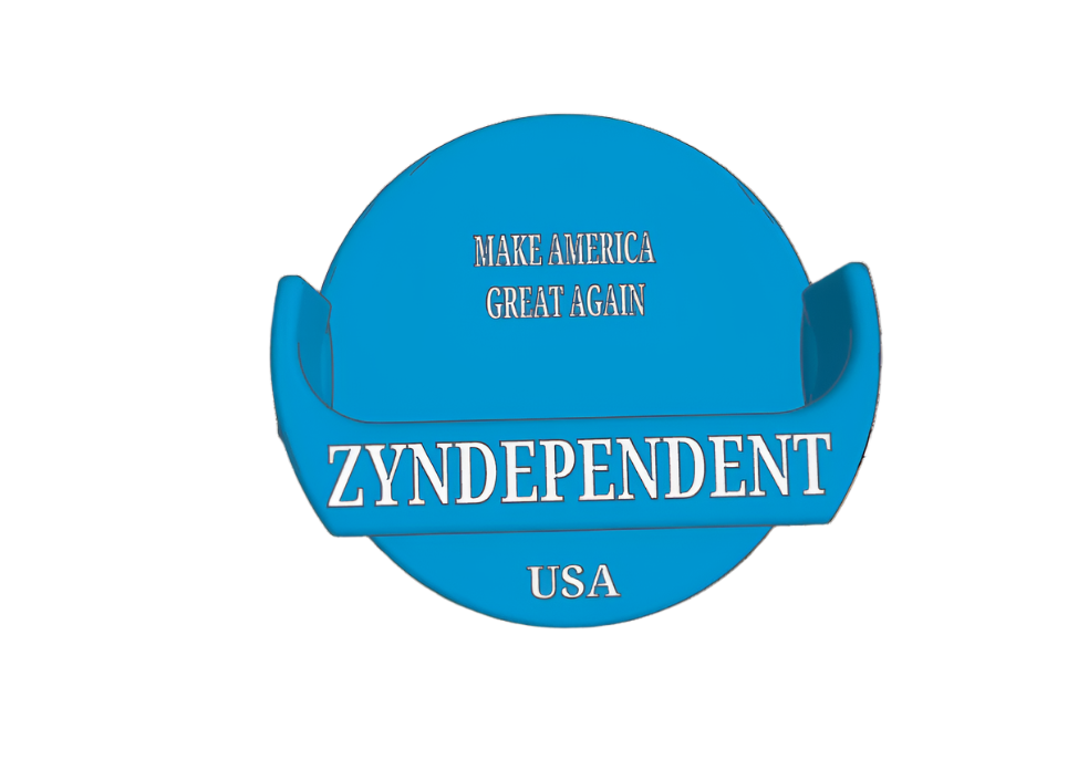 Zyn Holster