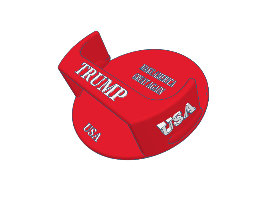 Zyn Holster